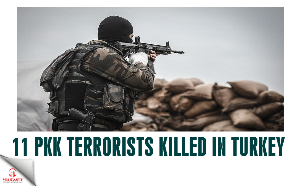 11 PKK terrorists killed in southeastern Turkey