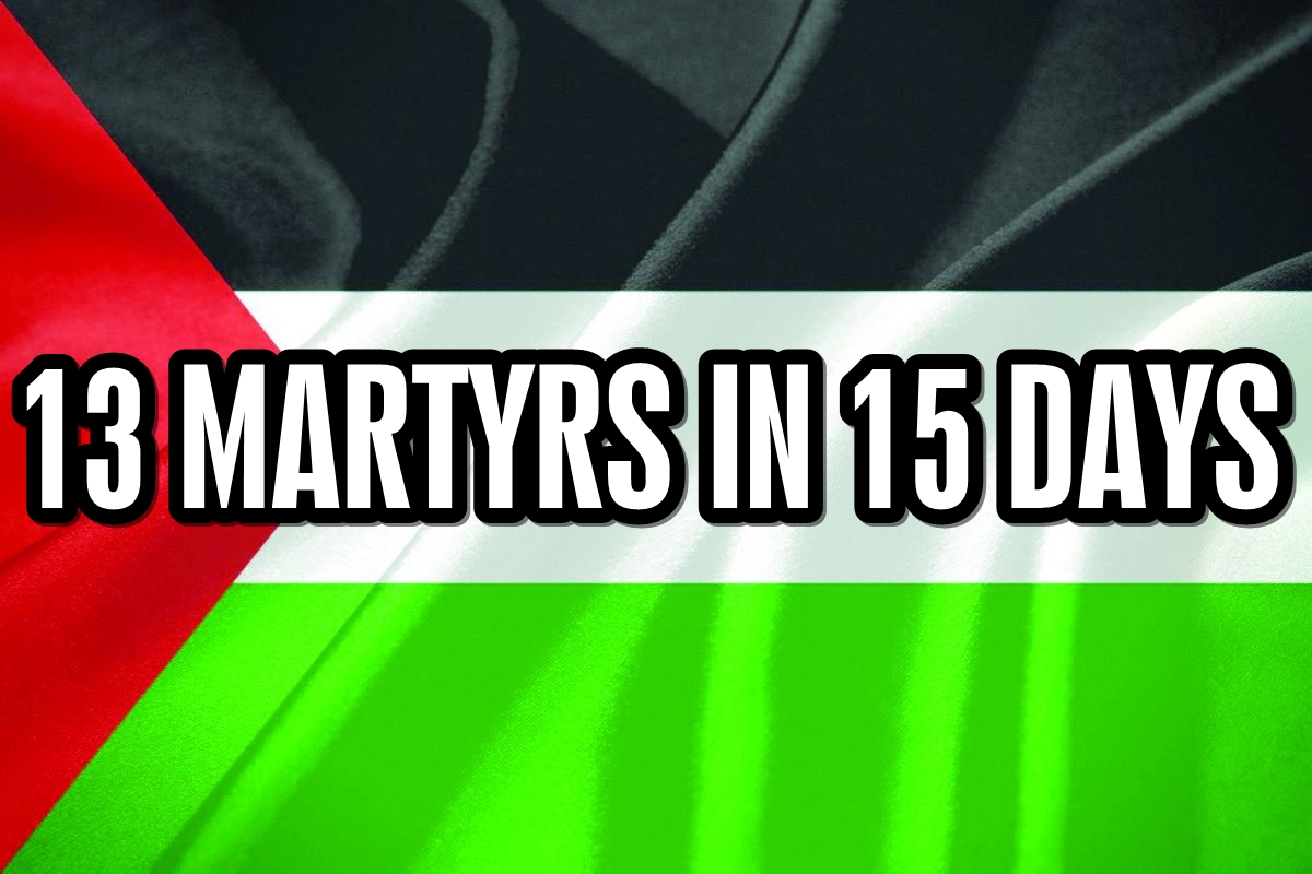 13 martyrs in 15 days: One of us died every day!