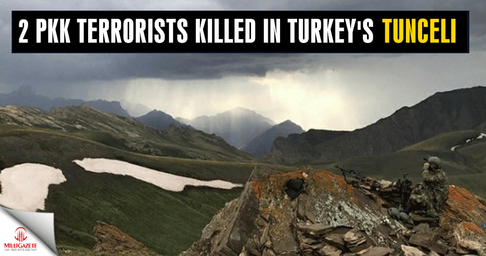 2 PKK terrorists, including senior figure killed in anti-terror ops in Turkey's Tunceli