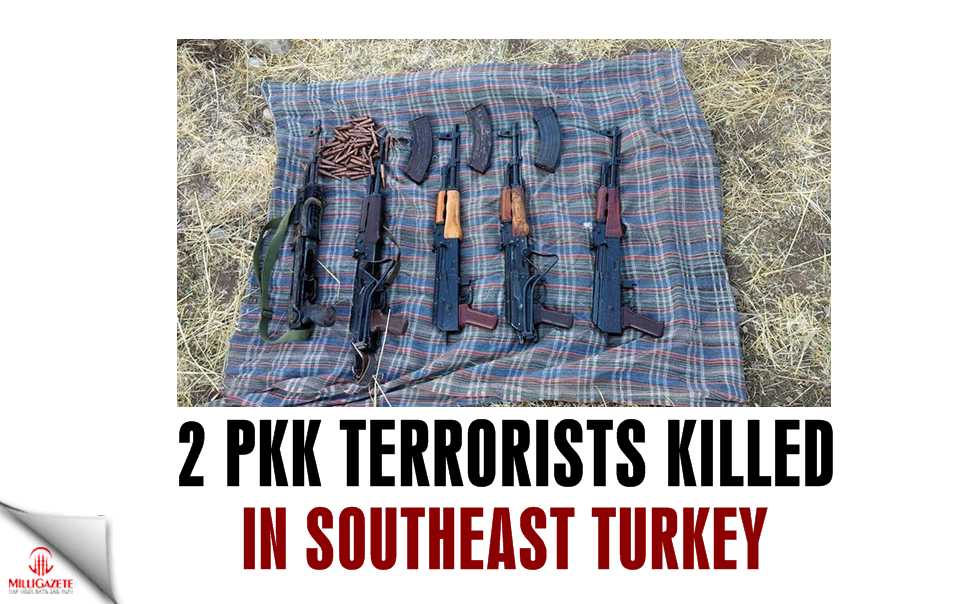 2 PKK terrorists killed in southeast Turkey