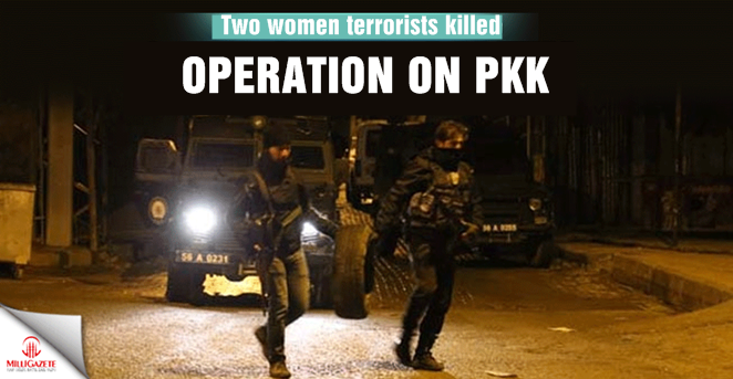2 PKK terrorists killed in southeastern Turkey