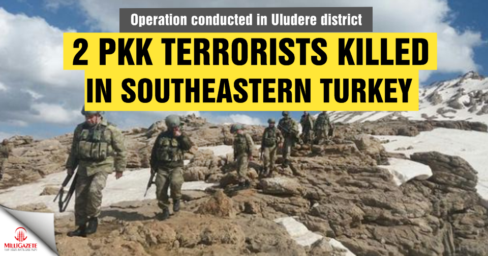 2 PKK terrorists killed in southeastern Turkey