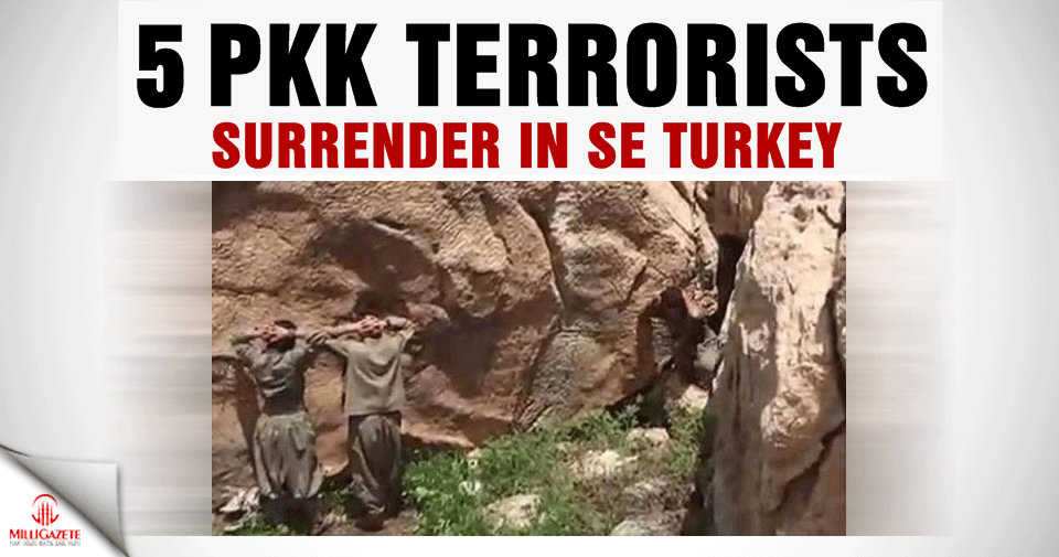 5 terrorists in SE Turkey surrender