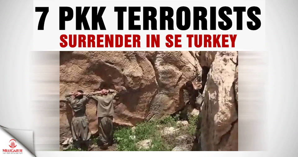 7 PKK terrorists surrender in SE Turkey