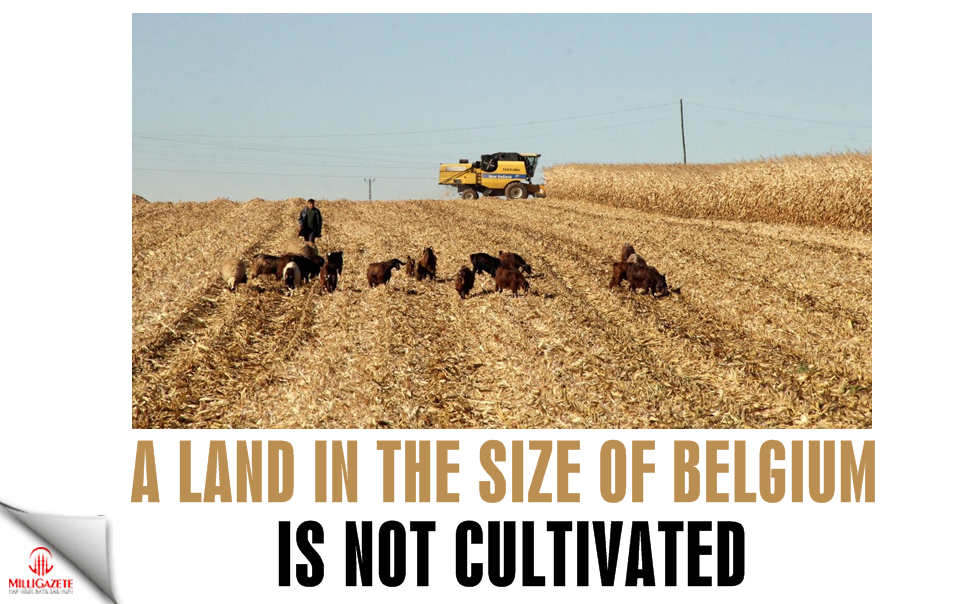 A land in the size of Belgium is not cultivated