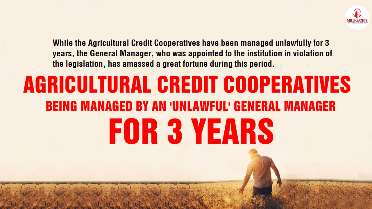 Agricultural Credit Cooperatives being managed by an 