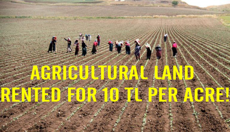 Agricultural land rented for 10 TL per acre!