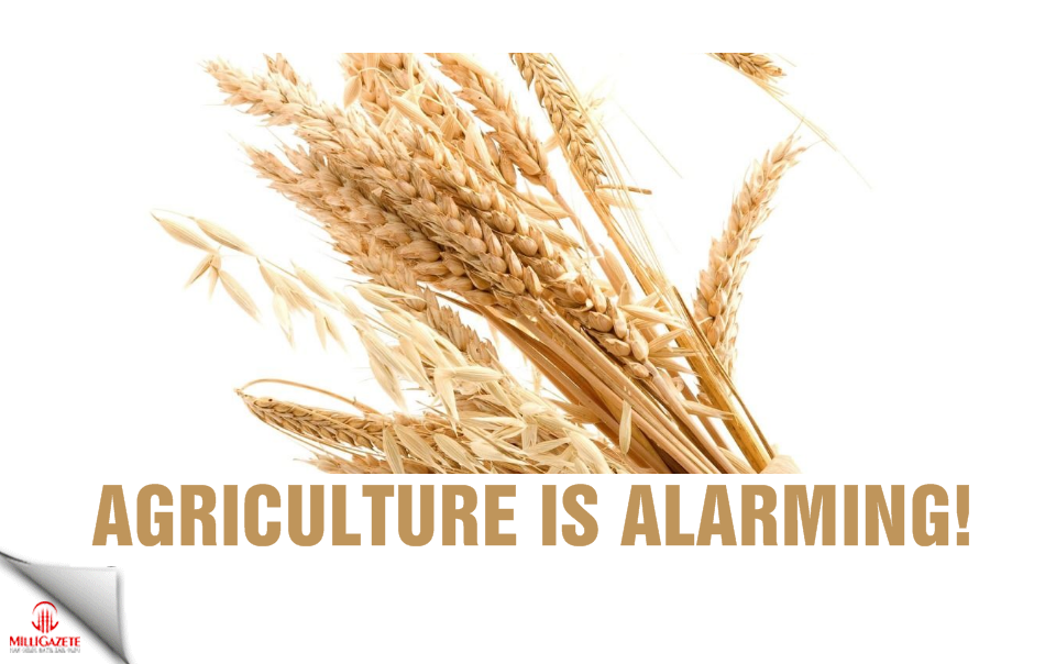 Agriculture is alarming!