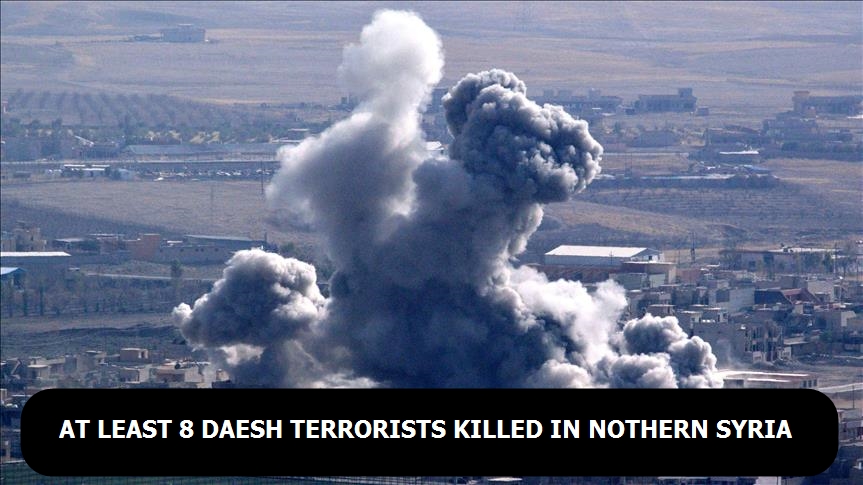 At least 8 Daesh terrorists killed in northern Syria