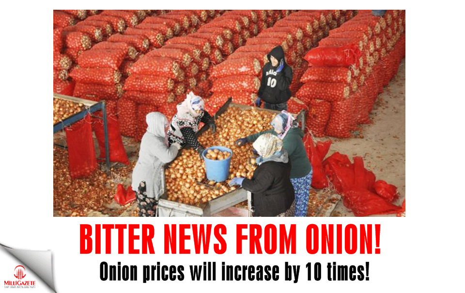 Bitter news from onion! Prices will increase by 10 times!