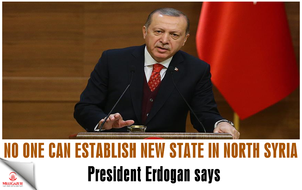 Erdogan: No one can establish new state in north Syria