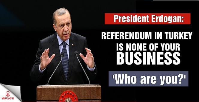 Erdogan: 'Referendum in Turkey is none of your business. Who are you?'