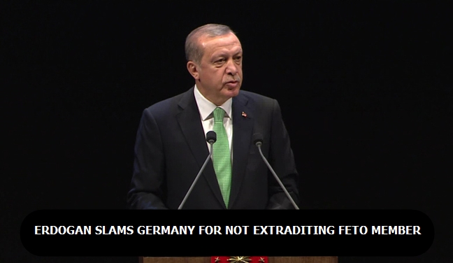 Erdogan slams Germany for not extraditing FETO members