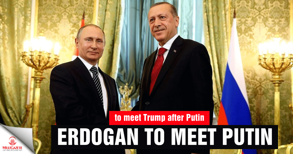 Erdogan to meet Putin in Sochi
