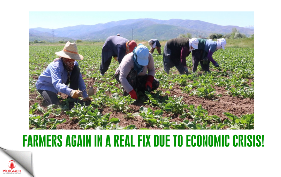 Farmers again in a real fix due to economic crisis!