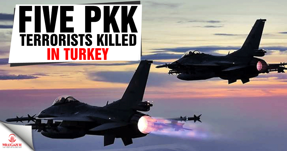 Five PKK terrorists killed in SE Turkey
