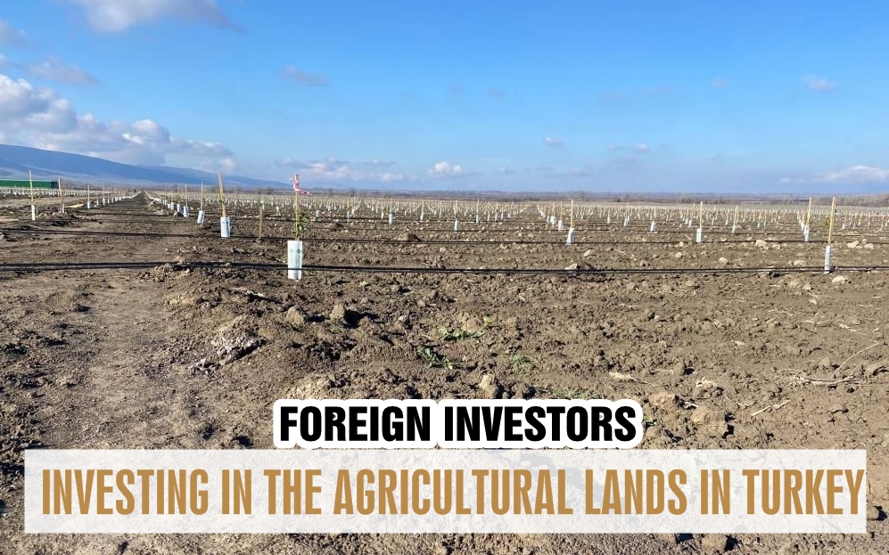 Foreign investors started to invest in the agricultural lands of Turkey