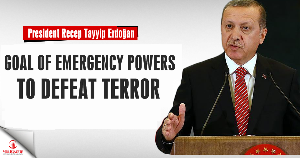 Goal of emergency powers to defeat terror, Erdogan says