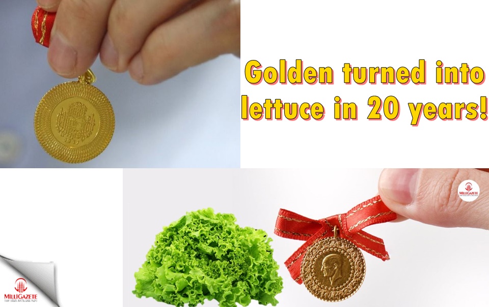 Golden turned into lettuce in 20 years!