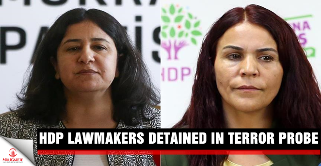 HDP lawmakers detained in terror probe