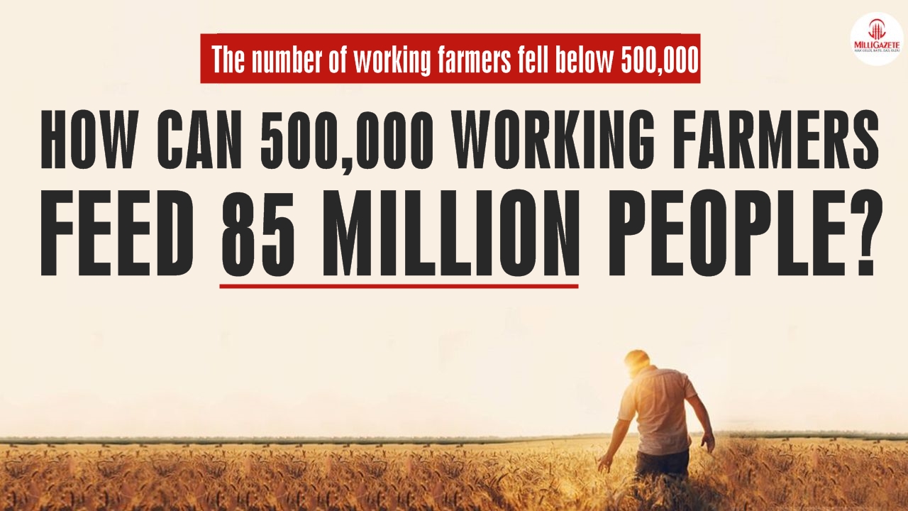 How can 500,000 working farmers feed 85 million people?