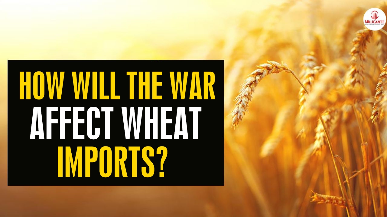 How will the war affect wheat imports?