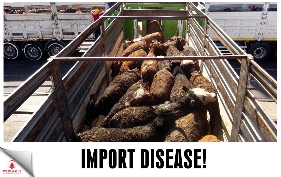 Import disease!