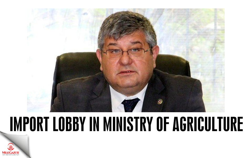 Import lobby in Ministry of Agriculture