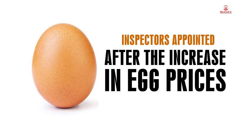 Inspectors appointed after the increase in egg prices