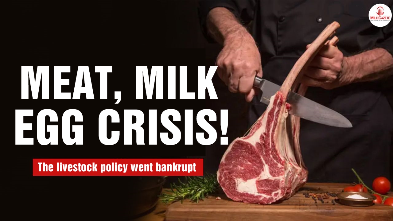 Meat, milk and egg crisis!