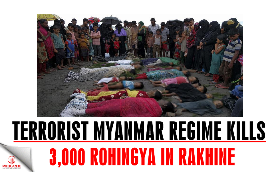 Myanmar kills 3,000 Rohingya in Rakhine: Bangladesh FM