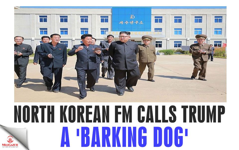 North Korean FM calls Trump a 'barking dog'