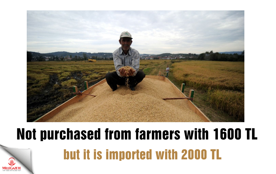 Not purchased from farmers with 1600 TL, but it is imported with 2000 TL