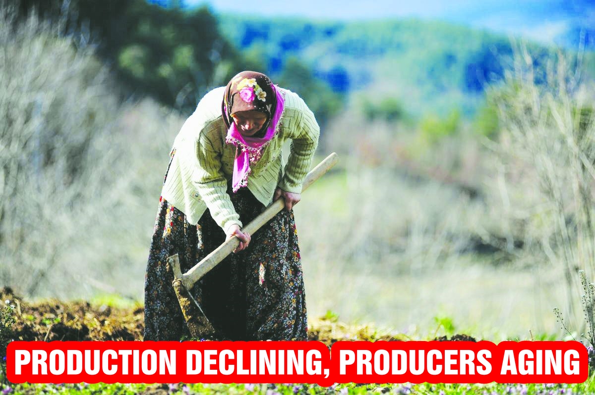 Production declining, producers aging