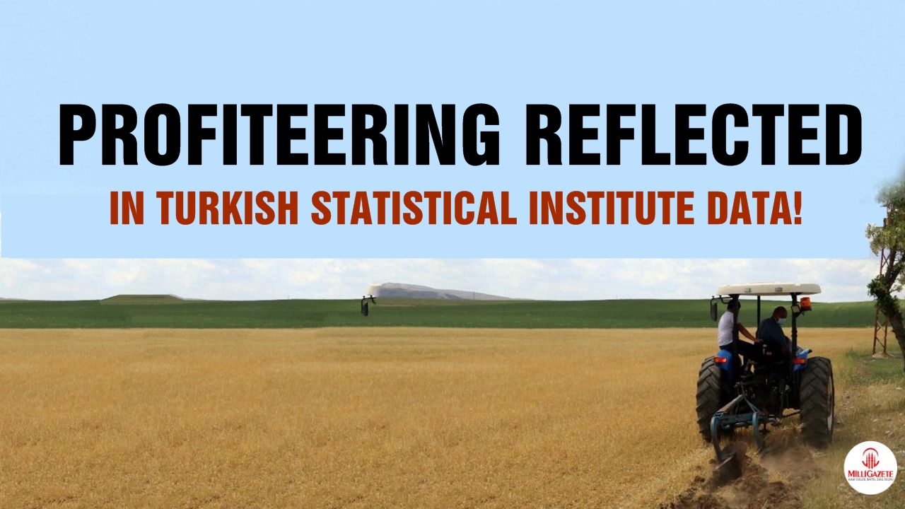 Profiteering reflected in Turkish Statistical Institute data!