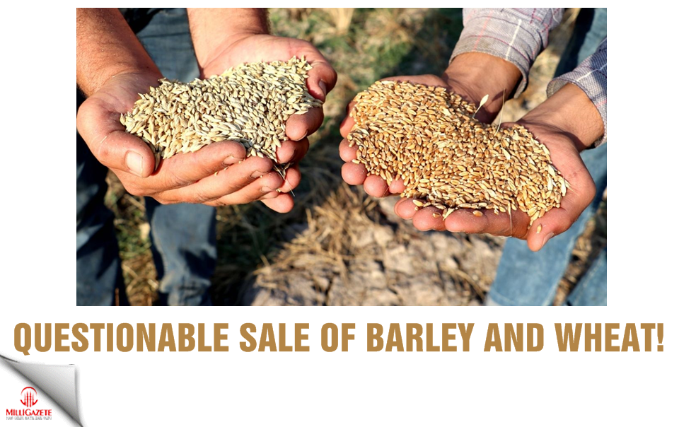 Questionable sale of barley and wheat!