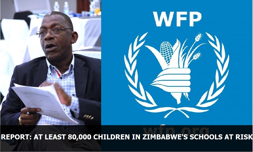 Report: At least 80,000 children in Zimbabwe's schools at risk