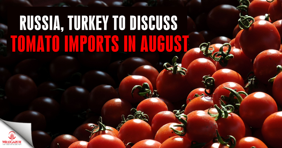 Russia, Turkey to discuss tomato imports in August