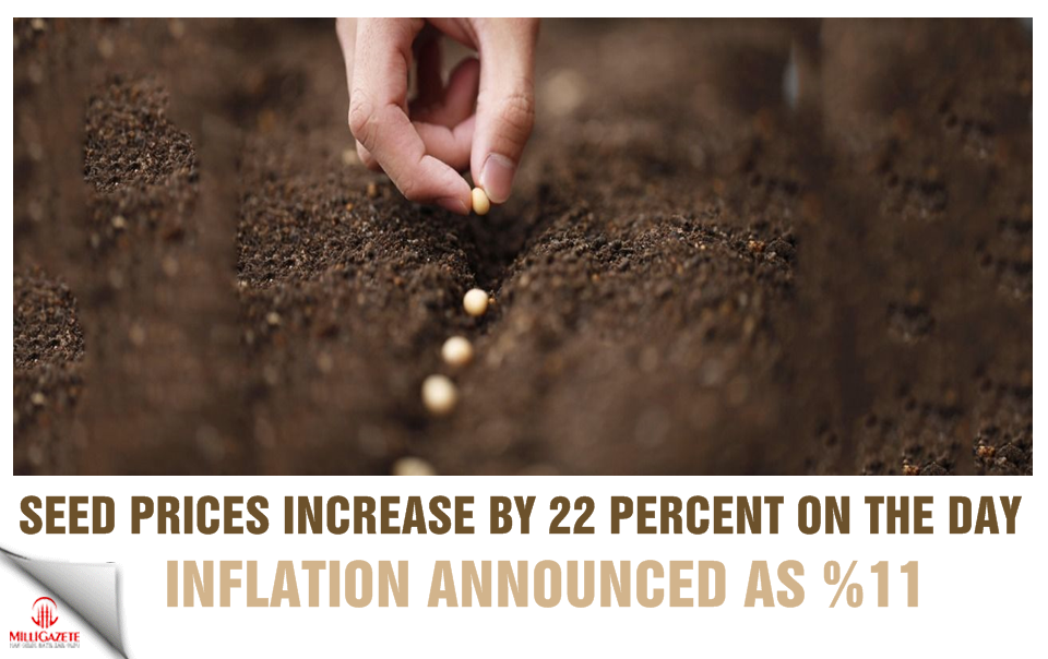 Seed prices increase by 22 percent on the day inflation announced as %11