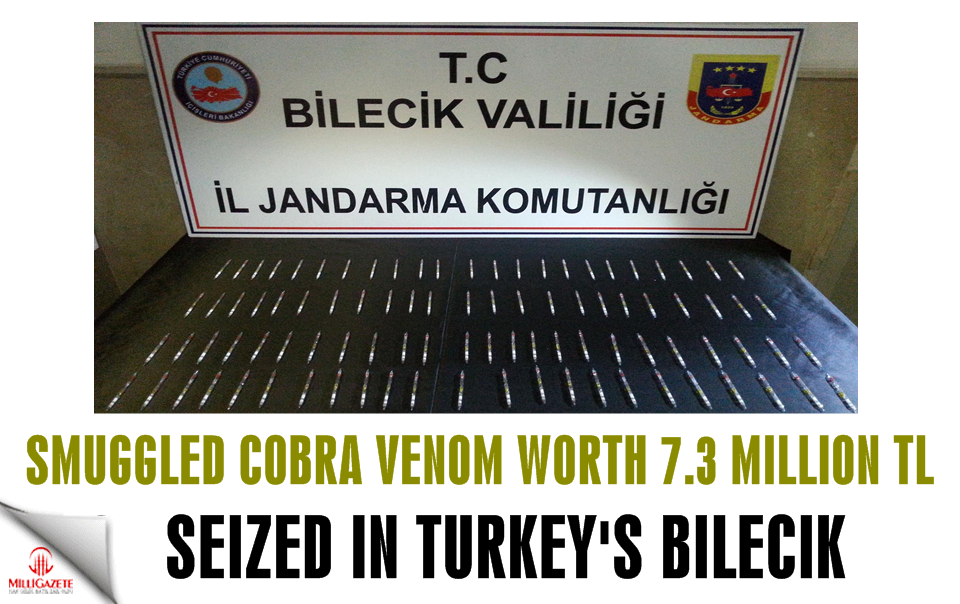 Smuggled cobra venom worth 7.3 million Turkish liras seized in Turkey’s Bilecik