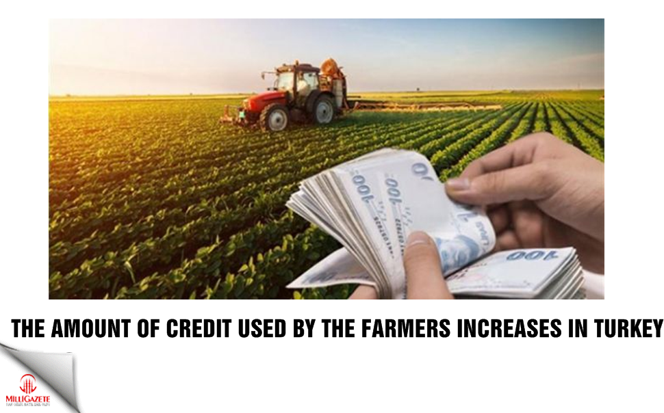 The amount of credit used by the farmer increases in Turkey 