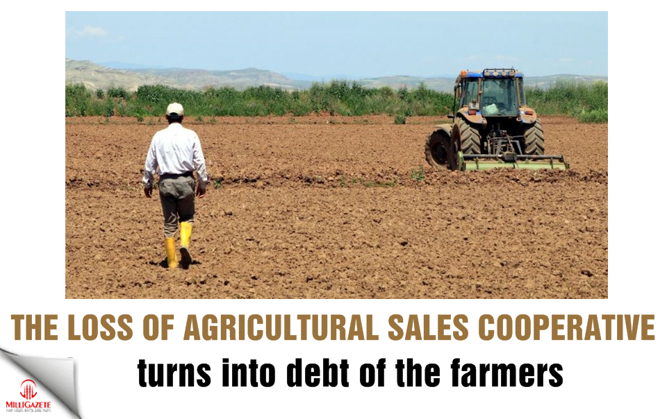 The loss of Agricultural Sales Cooperative turns into debt of the farmers