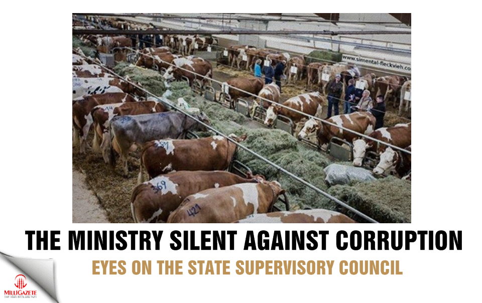 The Ministry silent against corruption, eyes on the State Supervisory Council