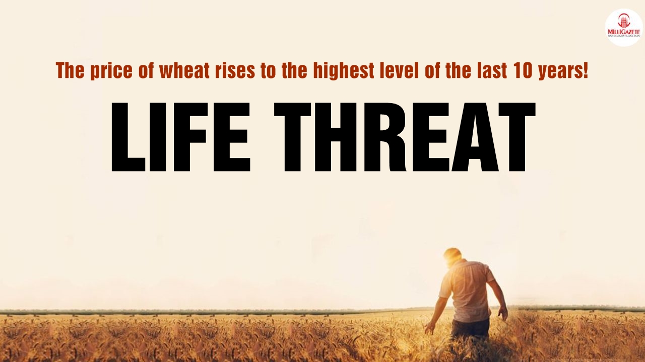 The price of wheat rises to the highest level of the last 10 years!