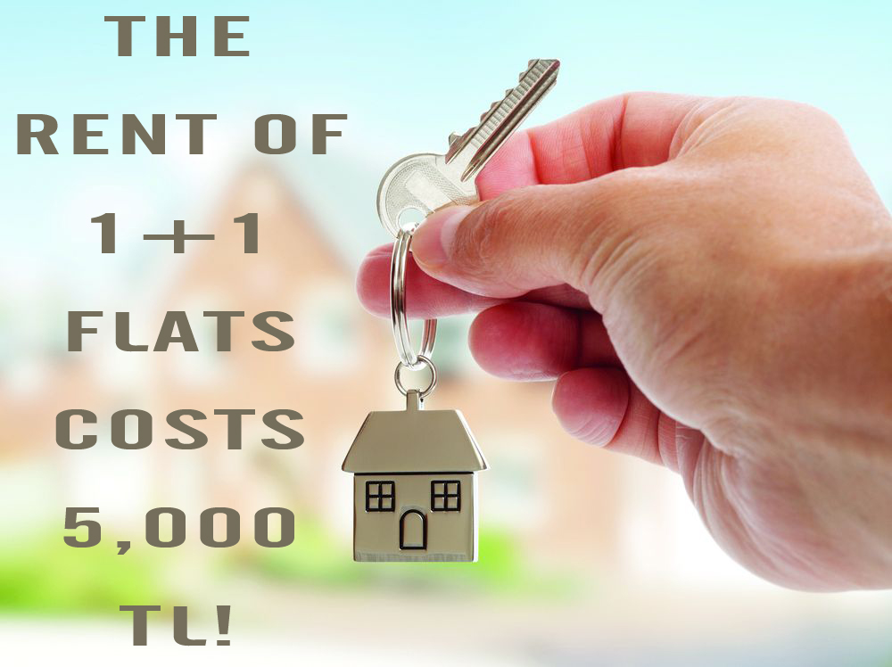 The rent of 1+1 flats costs 5,000 TL!