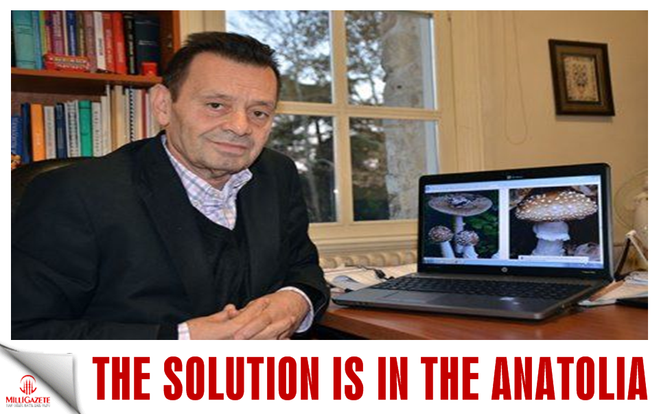 The solution is in the Anatolia