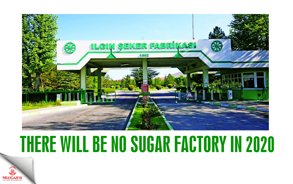 There will be no sugar factory in 2020