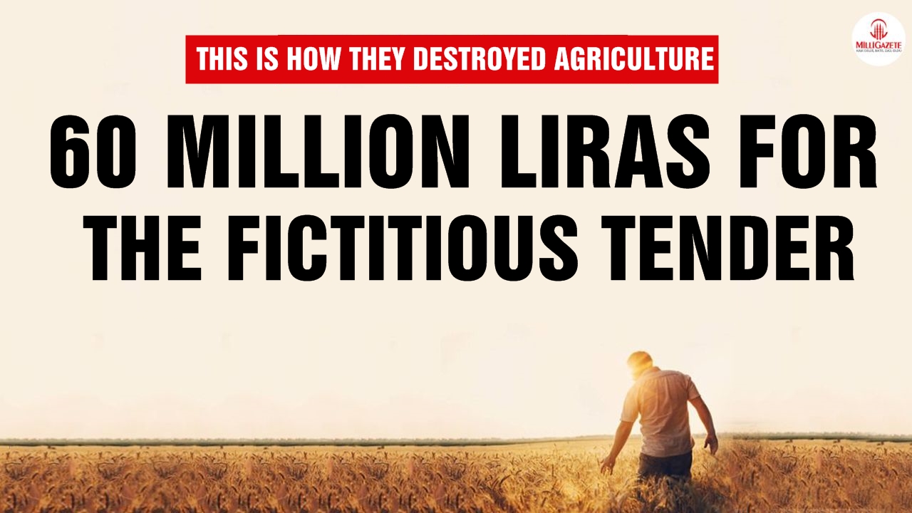This is how they destroyed agriculture! 60 million liras for the fictitious tender!