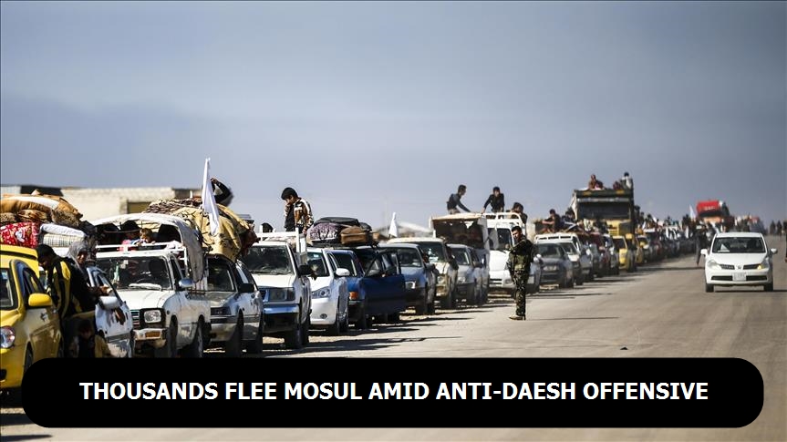 Thousands flee Mosul amid anti-Daesh offensive