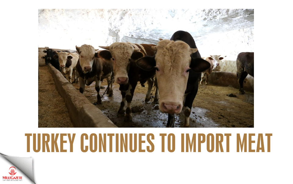 Turkey continues to import meat